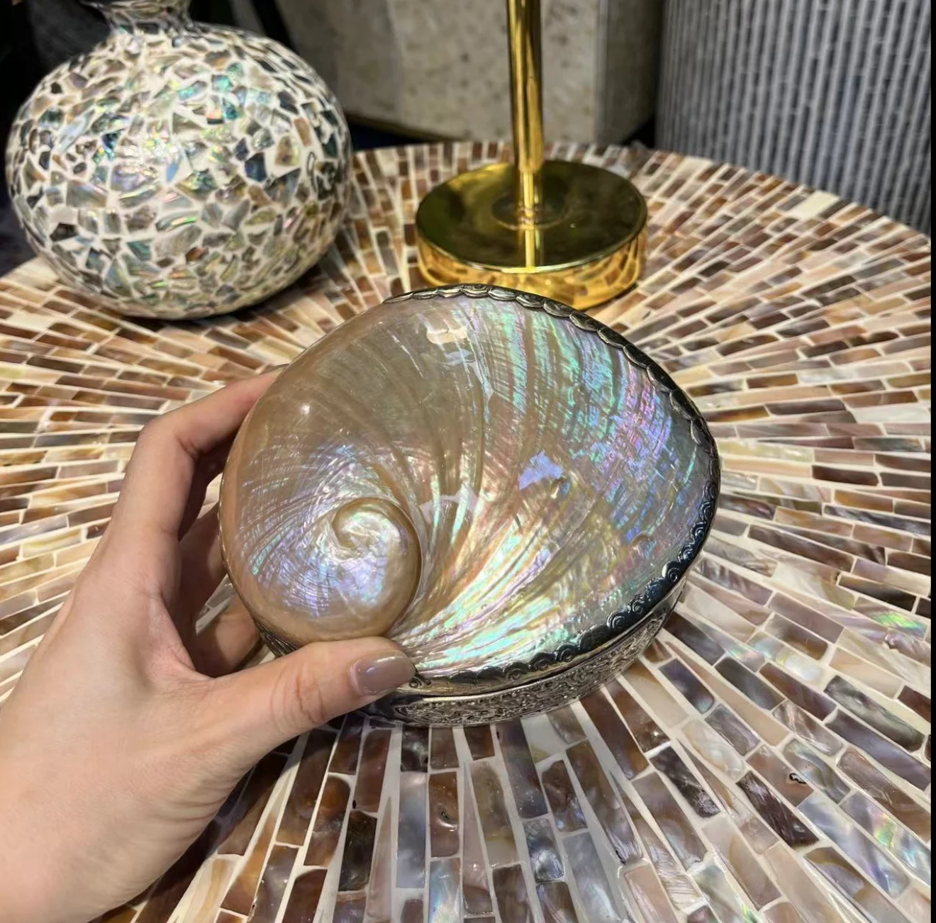 Abalone Shell Jewelry Storage Box Ornament