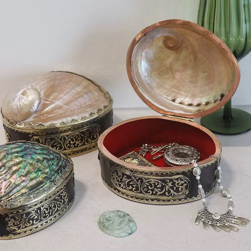 Abalone Shell Jewelry Storage Box Ornament