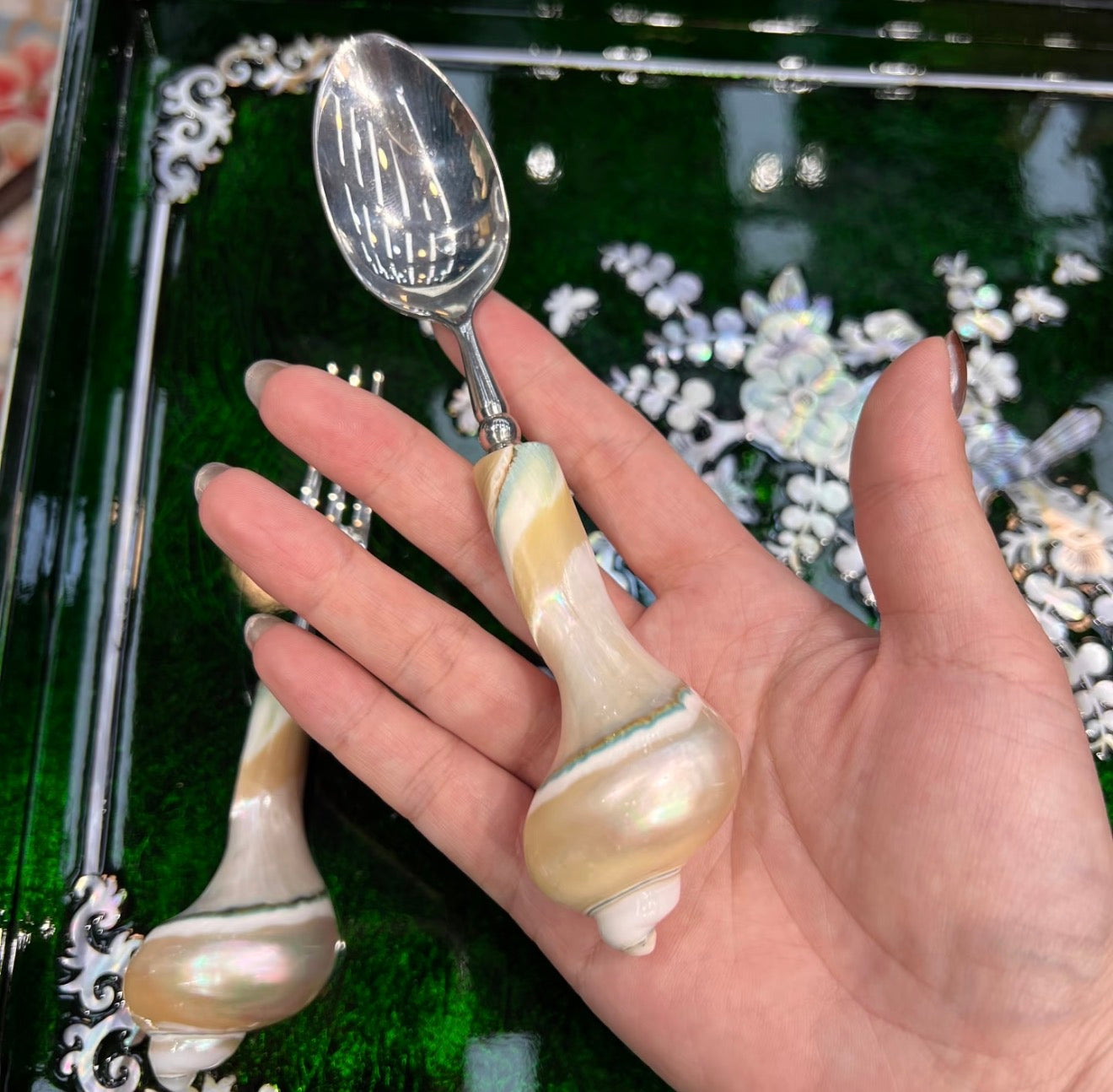 Natural Conch Dinner Spoons & Fruit Forks - A Pair